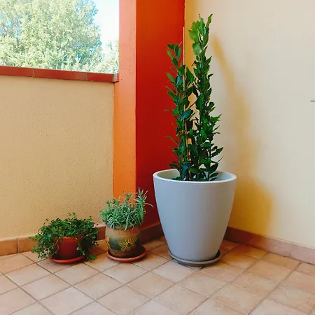 Apartment Sa Benda Nuoro (Sardinia)